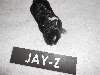   JAY-Z