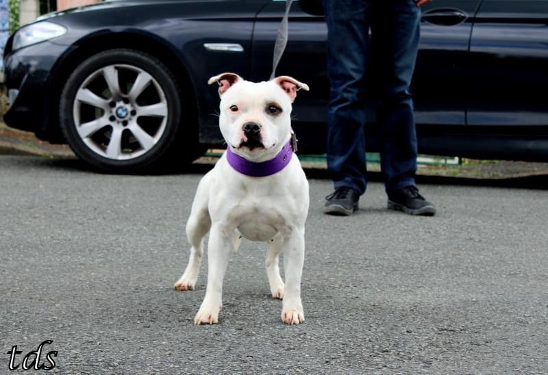 The dirty Ruth langmore The Dark Staffords